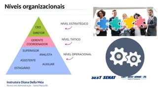 Instrutora Diana Della Méa
Técnico em Administração – Santa Maria/RS
Níveis organizacionais
 