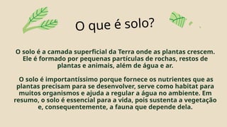 O solo é a camada superficial da Terra onde as plantas crescem.
Ele é formado por pequenas partículas de rochas, restos de
plantas e animais, além de água e ar.
O solo é importantíssimo porque fornece os nutrientes que as
plantas precisam para se desenvolver, serve como habitat para
muitos organismos e ajuda a regular a água no ambiente. Em
resumo, o solo é essencial para a vida, pois sustenta a vegetação
e, consequentemente, a fauna que depende dela.
O que é solo?
 