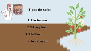 Tipos de solo:
1. Solo Arenoso:
2. Solo Argiloso:
3. Solo Silte:
4. Solo Humoso:
 