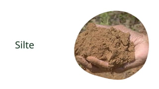 Silte
 