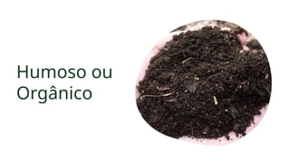 Humoso ou
Orgânico
 