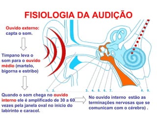 FISIOLOGIA DA AUDIÇÃO
Ouvido externo:
capta o som.
Tímpano leva o
som para o ouvido
médio (martelo,
bigorna e estribo)
Quando o som chega no ouvido
interno ele é amplificado de 30 a 60
vezes pela janela oval no inicio do
labirinto e caracol.
No ouvido interno estão as
terminações nervosas que se
comunicam com o cérebro) .
 