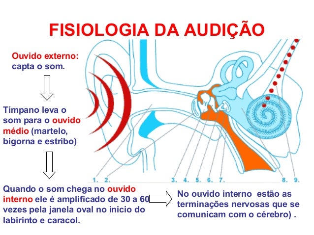 Aula sobre som