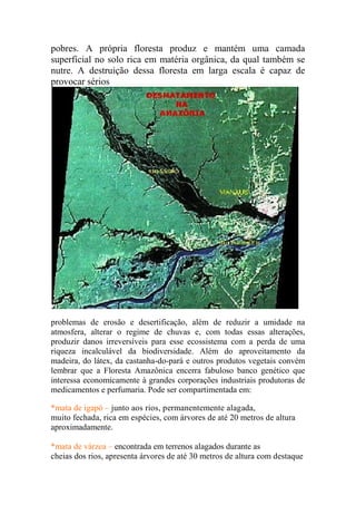 pobres. A própria floresta produz e mantém uma camada
superficial no solo rica em matéria orgânica, da qual também se
nutre. A destruição dessa floresta em larga escala é capaz de
provocar sérios




problemas de erosão e desertificação, além de reduzir a umidade na
atmosfera, alterar o regime de chuvas e, com todas essas alterações,
produzir danos irreversíveis para esse ecossistema com a perda de uma
riqueza incalculável da biodiversidade. Além do aproveitamento da
madeira, do látex, da castanha-do-pará e outros produtos vegetais convém
lembrar que a Floresta Amazônica encerra fabuloso banco genético que
interessa economicamente à grandes corporações industriais produtoras de
medicamentos e perfumaria. Pode ser compartimentada em:

*mata de igapó – junto aos rios, permanentemente alagada,
muito fechada, rica em espécies, com árvores de até 20 metros de altura
aproximadamente.

*mata de várzea – encontrada em terrenos alagados durante as
cheias dos rios, apresenta árvores de até 30 metros de altura com destaque
 