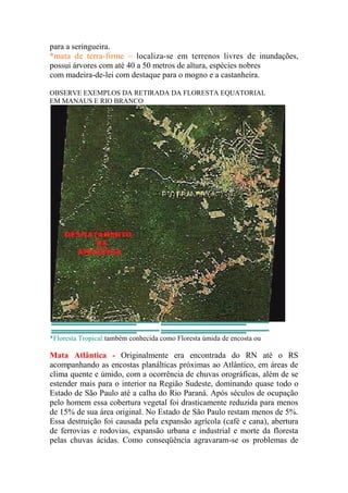 para a seringueira.
*mata de terra-firme – localiza-se em terrenos livres de inundações,
possui árvores com até 40 a 50 metros de altura, espécies nobres
com madeira-de-lei com destaque para o mogno e a castanheira.

OBSERVE EXEMPLOS DA RETIRADA DA FLORESTA EQUATORIAL
EM MANAUS E RIO BRANCO




*Floresta Tropical:também conhecida como Floresta úmida de encosta ou

Mata Atlântica - Originalmente era encontrada do RN até o RS
acompanhando as encostas planálticas próximas ao Atlântico, em áreas de
clima quente e úmido, com a ocorrência de chuvas orográficas, além de se
estender mais para o interior na Região Sudeste, dominando quase todo o
Estado de São Paulo até a calha do Rio Paraná. Após séculos de ocupação
pelo homem essa cobertura vegetal foi drasticamente reduzida para menos
de 15% de sua área original. No Estado de São Paulo restam menos de 5%.
Essa destruição foi causada pela expansão agrícola (café e cana), abertura
de ferrovias e rodovias, expansão urbana e industrial e morte da floresta
pelas chuvas ácidas. Como conseqüência agravaram-se os problemas de
 