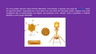 Os vírus podem assumir várias formas diferentes. Comumente, é apenas uma capa de proteínas como
um genoma dentro. Assemelha-se a uma caixa com uma série de instruções dentro. Alguns vírus mais
complexos são os bacteriófagos (ou fagos), que possuem uma “cabeça” onde é guardado o material
genético e uma cauda helicoidal.
 