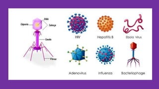 AULA SOBRE VIRUS.pptx