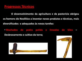 Progressos Técnicos
       O desenvolvimento da agricultura e da pastorícia obrigou
os homens do Neolítico a inventar novos produtos e técnicas, mais
diversificados e adequados às novas tarefas:

 • Machados    de   pedra   polida   e   Enxadas   de   Sílex   –
 Desbravamento e cultivo da terra;
 