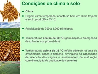 Condições de clima e solo
 Clima
 Origem clima temperado, adapta-se bem em clima tropical
e subtropical (20 a 35 °C)
 Precipitação de 700 a 1.200 milímetros
 Temperaturas abaixo de 20 °C (germinação e emergência
das plantas comprometidas)
 Temperaturas acima de 35 °C (efeito adverso na taxa de
crescimento, danos à floração, diminuição na capacidade
de retenção das vagens e aceleramento da maturação
com diminuição da qualidade da semente)
 