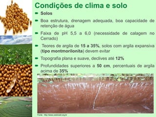 Condições de clima e solo
 Solos
 Boa estrutura, drenagem adequada, boa capacidade de
retenção de água
 Faixa de pH 5,5 a 6,0 (necessidade de calagem no
Cerrado)
 Teores de argila de 15 a 35%, solos com argila expansiva
(tipo montmorilonita) devem evitar
 Topografia plana e suave, declives até 12%
 Profundidades superiores a 50 cm, percentuais de argila
acima de 35%
Fonte: http://www.cesbrasil.org.br
 