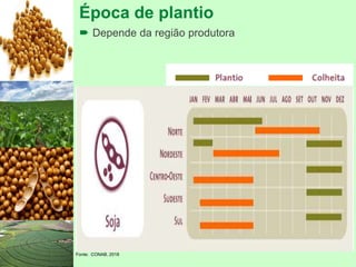 Época de plantio
 Depende da região produtora
Fonte: CONAB, 2018
 