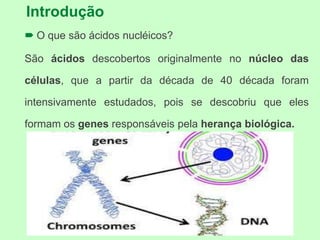Introdução
 O que são ácidos nucléicos?
São ácidos descobertos originalmente no núcleo das
células, que a partir da década de 40 década foram
intensivamente estudados, pois se descobriu que eles
formam os genes responsáveis pela herança biológica.
 