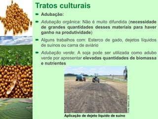 Tratos culturais
 Adubação:
 Adubação orgânica: Não é muito difundida (necessidade
de grandes quantidades desses materiais para haver
ganho na produtividade)
 Alguns trabalhos com: Esterco de gado, dejetos líquidos
de suínos ou cama de aviário
 Adubação verde: A soja pode ser utilizada como adubo
verde por apresentar elevadas quantidades de biomassa
e nutrientes
Aplicação de dejeto líquido de suíno
Fonte:Blanco,2015
 