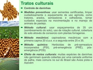 Tratos culturais
 Controle de daninhas
 Medidas preventivas: usar sementes certificadas, limpar
cuidadosamente o equipamento de uso agrícola, como
tratores, arados, semeadoras e colhedoras, tomar
cuidados especiais na movimentação e no manejo de
animais de pastejo.
 Método cultural: usar espaçamentos de 35 cm
(sombreamento do solo), uso de rotação cultural, cobertura
do solo através de consorcio com plantas forrageiras .
 Método mecânico: capinadoras mecânicas com a
primeira capina 20 d.a.e. e a segunda entre 25 e 35.
 Método químico: Herbicidas de pré-semeadura
incorporados (PSI), pré-emergência (PRÉ), pós-
emergência (PÓS)
 Efeito de restos culturais: muitas espécies de daninhas
não germinam quando cobertas por uma camada uniforme
de palha, mais comuns no sul do Brasil são Aveia preta e
Azevém
 
