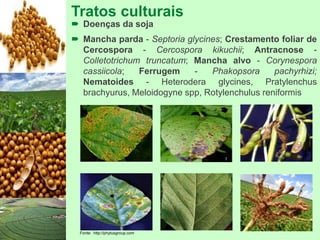 Tratos culturais
 Doenças da soja
 Mancha parda - Septoria glycines; Crestamento foliar de
Cercospora - Cercospora kikuchii; Antracnose -
Colletotrichum truncatum; Mancha alvo - Corynespora
cassiicola; Ferrugem - Phakopsora pachyrhizi;
Nematoides - Heterodera glycines, Pratylenchus
brachyurus, Meloidogyne spp, Rotylenchulus reniformis
Fonte: http://phytusgroup.com
 
