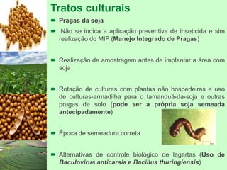 Tratos culturais
 Pragas da soja
 Não se indica a aplicação preventiva de inseticida e sim
realização do MIP (Manejo Integrado de Pragas)
 Realização de amostragem antes de implantar a área com
soja
 Rotação de culturas com plantas não hospedeiras e uso
de culturas-armadilha para o tamanduá-da-soja e outras
pragas de solo (pode ser a própria soja semeada
antecipadamente)
 Época de semeadura correta
 Alternativas de controle biológico de lagartas (Uso de
Baculovirus anticarsia e Bacillus thuringiensis)
 