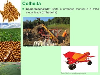 Colheita
 Semi-mecanizada: Corte e arranque manual e a trilha
mecanizada (trilhadeira)
Fonte: https://www.google.com.br
Fonte: http://www.vencedoramaqtron.com.br
 