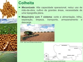 Colheita
 Mecanizada: Alta capacidade operacional, reduz uso de
mão-de-obra, cultivo de grandes áreas, necessidade de
uma topografia plana.
 Maquinário com 7 sistema: corte e alimentação, trilha,
separação, limpeza, transporte, armazenamento e
descarga
Fonte: https://www.embrapa.br/soja/cultivares
Fonte: https://www.embrapa.br/soja/cultivares
 