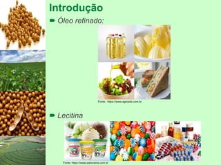 Introdução
 Óleo refinado:
 Lecitina
Fonte: https://www.agroads.com.br
Fonte: https://www.saborama.com.br
 