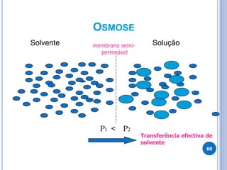 OSMOSE
Solvente Solução
60
membrana semi-
permeável
P1 < P2
Transferência efectiva de
solvente
 