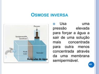 OSMOSE INVERSA
 Usa uma
pressão elevada
para forçar a água a
sair de uma solução
mais concentrada
para outra menos
concentrada através
da uma membrana
semipermiável.
62
Moléculas de água
 