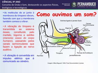 CIÊNCIAS, 9º ANO
Conceito de Onda e Som, destacando os aspectos físicos,
biológicos e tecnológicos
Como ouvimos um som?
• As moléculas do ar junto à
membrana do tímpano vibram,
fazendo com que a membrana
também comece a vibrar.
• A vibração do tímpano é
transmitida ao sistema
ósseo, constituído pelo
martelo, bigorna e estribo
(menores ossos do corpo
humano), passando pelos
canais semicirculares que
fazem a ligação ao nervo
auditivo.
• A vibração é convertida em
impulso elétrico que é
comunicado ao cérebro.
Imagem: Mike.lifeguard / GNU Free Documentation License
 