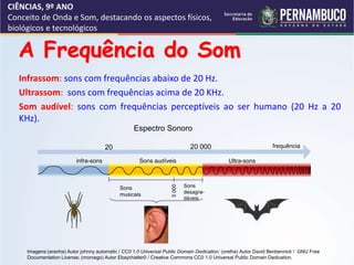 CIÊNCIAS, 9º ANO
Conceito de Onda e Som, destacando os aspectos físicos,
biológicos e tecnológicos
A Frequência do Som
Infrassom: sons com frequências abaixo de 20 Hz.
Ultrassom: sons com frequências acima de 20 KHz.
Som audível: sons com frequências perceptíveis ao ser humano (20 Hz a 20
KHz).
Espectro Sonoro
20 000
20 frequência
Ultra-sons
Sons audíveis
infra-sons
Sons
musicais
Sons
desagra-
dáveis
5
000
Imagens:(aranha) Autor johnny automatic / CC0 1.0 Universal Public Domain Dedication; (orelha) Autor David Benbennick / GNU Free
Documentation License; (morcego) Autor Ebaychatter0 / Creative Commons CC0 1.0 Universal Public Domain Dedication.
 