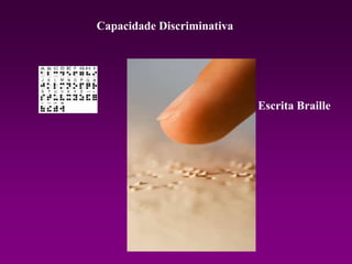 Capacidade Discriminativa
Escrita Braille
 