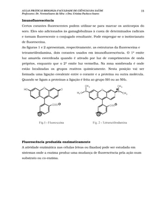 AULAS PRÁTICAS BIOLOGIA FACULDADE DE CIÊNCIAS DA SAÚDE                          18
Professores: Dr. NewtonSoares da Silva e Dra. Cristina Pacheco-Soares

Imunofluorescência
Certos corantes fluorescentes podem utilizar-se para marcar os anticorpos do
soro. Eles são adicionados às gamaglobulinas à custa de determinados radicais
e tornam fluorescente o conjugado resultante. Pode empregar-se o isotiocianato
de fluoresceína.
As figuras 1 e 2 apresentam, respectivamente, as estruturas da fluoresceína e
tetrametilrodamina, dois corantes usados em imunofluorescência. O 1º emite
luz amarela esverdeada quando é ativado por luz de comprimentos de onda
próprios, enquanto que o 2º emite luz vermelha. Na zona sombreada é onde
estão localizadas os grupos reativos quimicamente. Nesta posição vai ser
formada uma ligação covalente entre o corante e a proteína ou outra molécula.
Quando se ligam a proteínas a ligação é feita ao grupo SH ou ao NH2.




Fluorescência produzida enzimaticamente
A atividade enzimática nas células (vivas ou fixadas) pode ser estudada em
sistemas onde a enzima produz uma mudança de fluorescência pela ação num
substrato ou co-enzima.
 