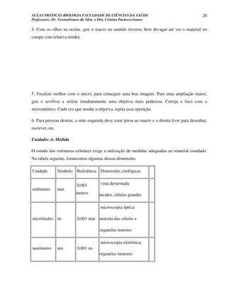 AULAS PRÁTICAS BIOLOGIA FACULDADE DE CIÊNCIAS DA SAÚDE                                         28
Professores: Dr. NewtonSoares da Silva e Dra. Cristina Pacheco-Soares

4. Com os olhos na ocular, gire o macro no sentido inverso, bem devagar até ver o material no
campo com relativa nitidez.




5. Focalize melhor com o micro, para conseguir uma boa imagem. Para uma ampliação maior,
gire o revólver e utilize imediatamente uma objetiva mais poderosa. Corrija o foco com o
micrométrico. Cada vez que mudar a objetiva, repita essa operação.

6. Para pessoas destras, a mão esquerda deve estar presa ao macro e a direita livre para desenhar,
escrever, etc.

Unidades de Medida

O estudo das estruturas celulares exige a utilização de medidas adequadas ao material estudado.
Na tabela seguinte, fornecemos algumas dessas dimensões.

Unidade          Símbolo   Referência Dimensões citológicas


                           0,001        vista desarmada
milímetro        mm
                           metros       tecidos, células grandes

                                        microscopia óptica

micrômetro m-              0,001 mm maioria das células e

                                        organelas maiores

                                        microscopia eletrônica
nanômetro        nm        0,001 m-
                                        organelas menores
 