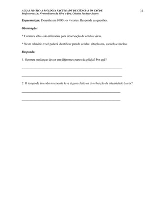 AULAS PRÁTICAS BIOLOGIA FACULDADE DE CIÊNCIAS DA SAÚDE                                      37
Professores: Dr. NewtonSoares da Silva e Dra. Cristina Pacheco-Soares

Esquematizar: Desenhe em 1000x os 4 cortes. Responda as questões.

Observação:

* Corantes vitais são utilizados para observação de células vivas.

* Neste relatório você poderá identificar parede celular, citoplasma, vacúolo e núcleo.

Responda:

1. Ocorreu mudanças de cor em diferentes partes da célula? Por quê?

_________________________________________________________________

_________________________________________________________________

2. O tempo de imersão no corante teve algum efeito na distribuição da intensidade da cor?

________________________________________________________________

________________________________________________________________
 