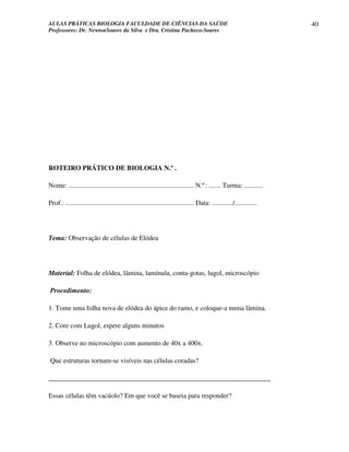 AULAS PRÁTICAS BIOLOGIA FACULDADE DE CIÊNCIAS DA SAÚDE                                                                40
Professores: Dr. NewtonSoares da Silva e Dra. Cristina Pacheco-Soares




ROTEIRO PRÁTICO DE BIOLOGIA N.º .

Nome: ......................................................................... N.º: ....... Turma: ...........

Prof.: ........................................................................... Data: ............/.............




Tema: Observação de células de Elódea




Material: Folha de elódea, lâmina, lamínula, conta-gotas, lugol, microscópio

Procedimento:

1. Tome uma folha nova de elódea do ápice do ramo, e coloque-a numa lâmina.

2. Core com Lugol, espere alguns minutos

3. Observe no microscópio com aumento de 40x a 400x.

Que estruturas tornam-se visíveis nas células coradas?

_________________________________________________________________

Essas células têm vacúolo? Em que você se baseia para responder?
 