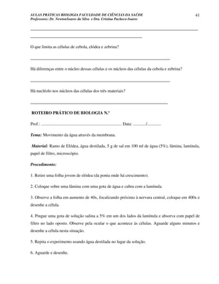 AULAS PRÁTICAS BIOLOGIA FACULDADE DE CIÊNCIAS DA SAÚDE                                                                41
Professores: Dr. NewtonSoares da Silva e Dra. Cristina Pacheco-Soares

______________________________________________________________________________
____________________________________________________

O que limita as células de cebola, elódea e zebrina?

_________________________________________________________________

Há diferenças entre o núcleo dessas células e os núcleos das células da cebola e zebrina?

_________________________________________________________________

Há nucléolo nos núcleos das células dos três materiais?

________________________________________________________________

ROTEIRO PRÁTICO DE BIOLOGIA N.º

Prof.: ........................................................................... Data: ............/.............

Tema: Movimento da água através da membrana.

Material: Ramo de Elódea, água destilada, 5 g de sal em 100 ml de água (5%), lâmina, lamínula,
papel de filtro, microscópio.

Procedimento:

1. Retire uma folha jovem de elódea (da ponta onde há crescimento).

2. Coloque sobre uma lâmina com uma gota de água e cubra com a lamínula.

3. Observe a folha em aumento de 40x, focalizando próximo à nervura central, coloque em 400x e
desenhe a célula.

4. Pingue uma gota de solução salina a 5% em um dos lados da lamínula e absorva com papel de
filtro no lado oposto. Observe pela ocular o que acontece às células. Aguarde alguns minutos e
desenhe a célula nesta situação.

5. Repita o experimento usando água destilada no lugar da solução.

6. Aguarde e desenhe.
 