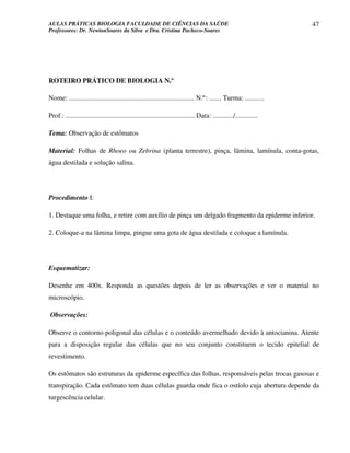 AULAS PRÁTICAS BIOLOGIA FACULDADE DE CIÊNCIAS DA SAÚDE                                                                47
Professores: Dr. NewtonSoares da Silva e Dra. Cristina Pacheco-Soares




ROTEIRO PRÁTICO DE BIOLOGIA N.º

Nome: ......................................................................... N.º: ....... Turma: ...........

Prof.: ........................................................................... Data: ............/.............

Tema: Observação de estômatos

Material: Folhas de Rhoeo ou Zebrina (planta terrestre), pinça, lâmina, lamínula, conta-gotas,
água destilada e solução salina.




Procedimento I:

1. Destaque uma folha, e retire com auxílio de pinça um delgado fragmento da epiderme inferior.

2. Coloque-a na lâmina limpa, pingue uma gota de água destilada e coloque a lamínula.




Esquematizar:

Desenhe em 400x. Responda as questões depois de ler as observações e ver o material no
microscópio.

Observações:

Observe o contorno poligonal das células e o conteúdo avermelhado devido à antocianina. Atente
para a disposição regular das células que no seu conjunto constituem o tecido epitelial de
revestimento.

Os estômatos são estruturas da epiderme específica das folhas, responsáveis pelas trocas gasosas e
transpiração. Cada estômato tem duas células guarda onde fica o ostíolo cuja abertura depende da
turgescência celular.
 