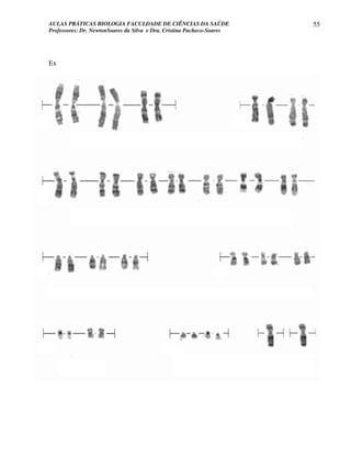 AULAS PRÁTICAS BIOLOGIA FACULDADE DE CIÊNCIAS DA SAÚDE                  55
Professores: Dr. NewtonSoares da Silva e Dra. Cristina Pacheco-Soares




Ex
 