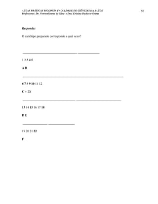 AULAS PRÁTICAS BIOLOGIA FACULDADE DE CIÊNCIAS DA SAÚDE                  56
Professores: Dr. NewtonSoares da Silva e Dra. Cristina Pacheco-Soares




Responda:

O cariótipo preparado corresponde a qual sexo?




___________________________________ ______________

12345

AB

_________________________________________________________________

6 7 8 9 10 11 12

C + 2X

__________________________________ _____________________________

13 14 15 16 17 18

DE

________________ _________________

19 20 21 22

F
 