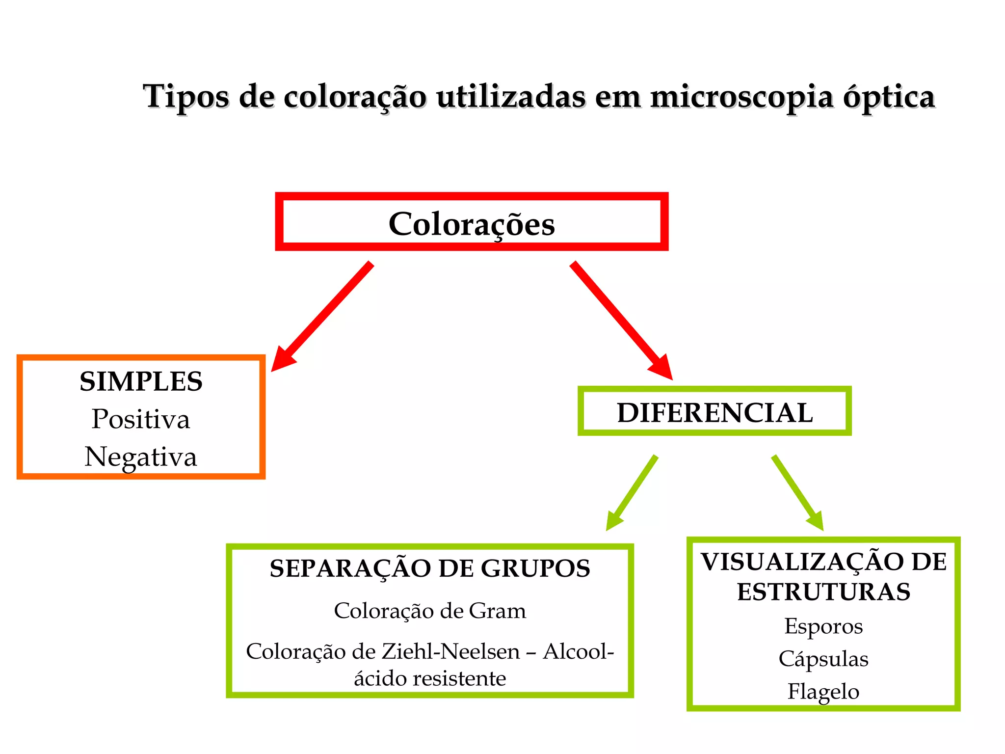 Tipos de coloração utilizadas em microscopia óptica Colorações SIMPLES Positiva Negativa DIFERENCIAL SEPARAÇÃO DE GRUPOS Coloração de Gram Coloração de Ziehl-Neelsen – Alcool-ácido resistente VISUALIZAÇÃO DE ESTRUTURAS Esporos Cápsulas Flagelo 