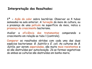 Interpretação dos Resultados:
1ª - Ação do calor sobre bactérias. Observar os 4 tubos
semeados na aula anterior. A turvação do meio de cultura, ou
a presença de uma película na superfície do meio, indica a
presença do crescimento bacteriano.
Avaliar a eficiência dos tratamentos comparando o
crescimento em relação ao tubo 1 (controle).
Comparar os resultados obtidos com cada uma das duas
espécies bacterianas: B. Subtilis e E. coli. As culturas de B.
Sutilis, por serem esporuladas, são muito mais resistentes e
só são destruídas por autoclavação. Já as formas vegetativas
de ambas as culturas são destruídas em banho-maria.
 