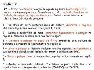 2ª - Teste da eficácia da ação de agentes químicos (antissépticos)
sobre os micro-organismos. Será demonstrada a ação do álcool, álcool
iodado, detergentes, água sanitária, etc. Sobre o crescimento de
Serratia sp (técnica do polegar)
1 – Em placa de petri contendo meio de cultura, delimitar 3 regiões,
utilizando lápis cera. Marcar as regiões 1, 2 e 3;
2 – Sobre a superfície do meio, comprimir ligeiramente o polegar na
região 1, tomando cuidado para não ferir o agar;
3 – Umidece o polegar no papel de filtro embebido com cultura de
Serratia e comprimi-lo ligeiramente na região 2;
4 – Lavar o polegar utilizando qualquer um dos agentes antissepticos a
sua escolha ( alcool, alcool iodado, detergente ou água santária);
5 – Secar o polegar ao ar e novamente comprimi-lo ligeiramente na região
3;
6 – Anotar o composto utilizado. Identificar a placa. Embrulhar com
papel e incubar a temperatura ambiante (25-28ºC) por 24/72h;
Prática 2
 