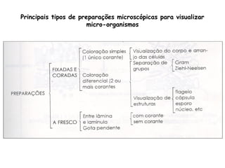 Principais tipos de preparações microscópicas para visualizar
micro-organismos
 