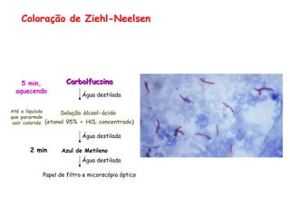 Solução àlcool-ácido
(etanol 95% + HCL concentrado)
5 min,
aquecendo
Água destilada
CarbolfucsinaCarbolfucsina
Até o líquisdo
que pararmde
sair colorido
Água destilada
Azul de Metileno
Água destilada
2 min
Papel de filtro e micorscópio óptico
Coloração de Ziehl-Neelsen
 