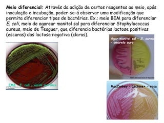 Meio diferencial: Através da adição de certos reagentes ao meio, após
inoculação e incubação, poder-se-á observar uma modificação que
permita diferenciar tipos de bactérias. Ex.: meio BEM para diferenciar
E. coli, meio de agareur manitol sal para diferenciar Staphylococcus
aureus, meio de Teaguer, que diferencia bactérias lactose positivas
(escuras) das lactose negativa (claras).
MacConkey – Lactose+ - rosaEMB – E. coli – verde metálico
Agar manitol sal – S. aureus
– amarelo ouro
 