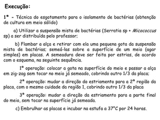 Execução:
1ª - Técnica do esgotamento para o isolamento de bactérias (obtenção
de cultura em meio sólido)
a) Utilizar a suspensão mista de bactérias (Serratia sp + Micococcus
sp) a ser distribuída pelo professor;
b) Flambar a alça e retirar com ela uma pequena gota da suspensão
mista de bactérias; semeá-las sobre a superfície de um meio (agar
simples) em placas. A semeadura deve ser feita por estrias, de acordo
com o esquema, na seguinte sequência.
1ª operação: colocar a gota na superfície do meio e passar a alça
em zig-zag sem tocar no meio já semeado, cobrindo outro 1/3 da placa;
2ª operação: mudar a direção do estriamento para a 2ª região da
placa, com o mesmo cuidade da região 1, cobrindo outro 1/3 da placa
3ª operação: mudar a direção da estriamento para a parte final
do meio, sem tocar na superfície já semeada.
c) Embrulhar as placas e incubar na estufa a 37°C por 24 horas.
 