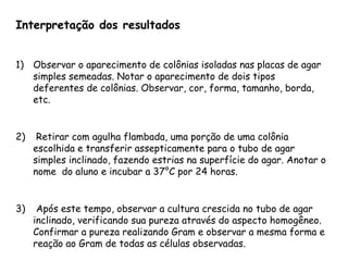 Interpretação dos resultados
1) Observar o aparecimento de colônias isoladas nas placas de agar
simples semeadas. Notar o aparecimento de dois tipos
deferentes de colônias. Observar, cor, forma, tamanho, borda,
etc.
2) Retirar com agulha flambada, uma porção de uma colônia
escolhida e transferir assepticamente para o tubo de agar
simples inclinado, fazendo estrias na superfície do agar. Anotar o
nome do aluno e incubar a 37°C por 24 horas.
3) Após este tempo, observar a cultura crescida no tubo de agar
inclinado, verificando sua pureza através do aspecto homogêneo.
Confirmar a pureza realizando Gram e observar a mesma forma e
reação ao Gram de todas as células observadas.
 