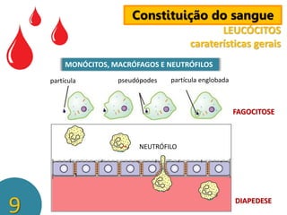 Constituição do sangue
LEUCÓCITOS
caraterísticas gerais
MONÓCITOS, MACRÓFAGOS E NEUTRÓFILOS
partícula

pseudópodes

partícula englobada

FAGOCITOSE

NEUTRÓFILO

9

DIAPEDESE

 