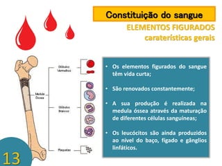 Constituição do sangue
ELEMENTOS FIGURADOS
caraterísticas gerais
• Os elementos figurados do sangue
têm vida curta;

• São renovados constantemente;
• A sua produção é realizada na
medula óssea através da maturação
de diferentes células sanguíneas;

13

• Os leucócitos são ainda produzidos
ao nível do baço, fígado e gânglios
linfáticos.

 
