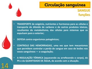 Circulação sanguínea
SANGUE
funções
• TRANSPORTE de oxigénio, nutrientes e hormonas para as células e
transporte do dióxido de carbono e de outros produtos tóxicos,
resultantes do metabolismo, das células para sistemas que os
expulsam para o exterior;

• DEFESA contra organismos patogénicos;
• CONTROLO DAS HEMORRAGIAS, uma vez que tem mecanismos
que permitem controlar a perda de sangue em caso de lesões nos
vasos sanguíneos — a coagulação;
• A REGULAÇÃO TÉRMICA (aquecendo ou arrefecendo o corpo), do
Ph e da QUANTIDADE DE ÁGUA, de acordo com a situação.

14

 
