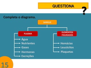 QUESTIONA
Completa o diagrama.
SANGUE

PLASMA

Água
Nutrientes
Gases
Hormonas
Excreções

15

ELEMENTOS
FIGURADOS

Hemácias
Leucócitos
Plaquetas

?

 