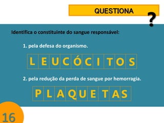 QUESTIONA
Identifica o constituinte do sangue responsável:
1. pela defesa do organismo.

L E UC ÓC I TO S
2. pela redução da perda de sangue por hemorragia.

P L A Q U E T AS

16

?

 