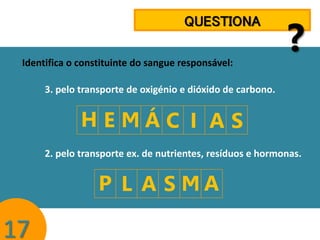 QUESTIONA
Identifica o constituinte do sangue responsável:

?

3. pelo transporte de oxigénio e dióxido de carbono.

HEMÁC I A S
2. pelo transporte ex. de nutrientes, resíduos e hormonas.

P L A S MA

17

 